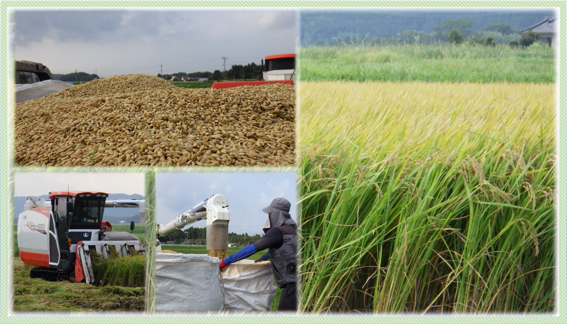 吉川農産イメージ