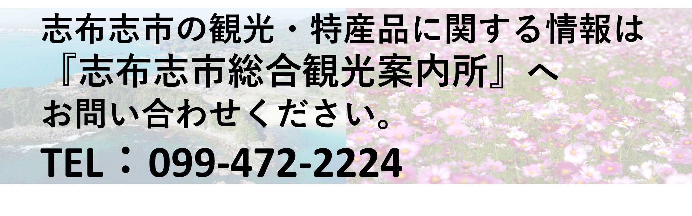 志布志市総合観光案内所