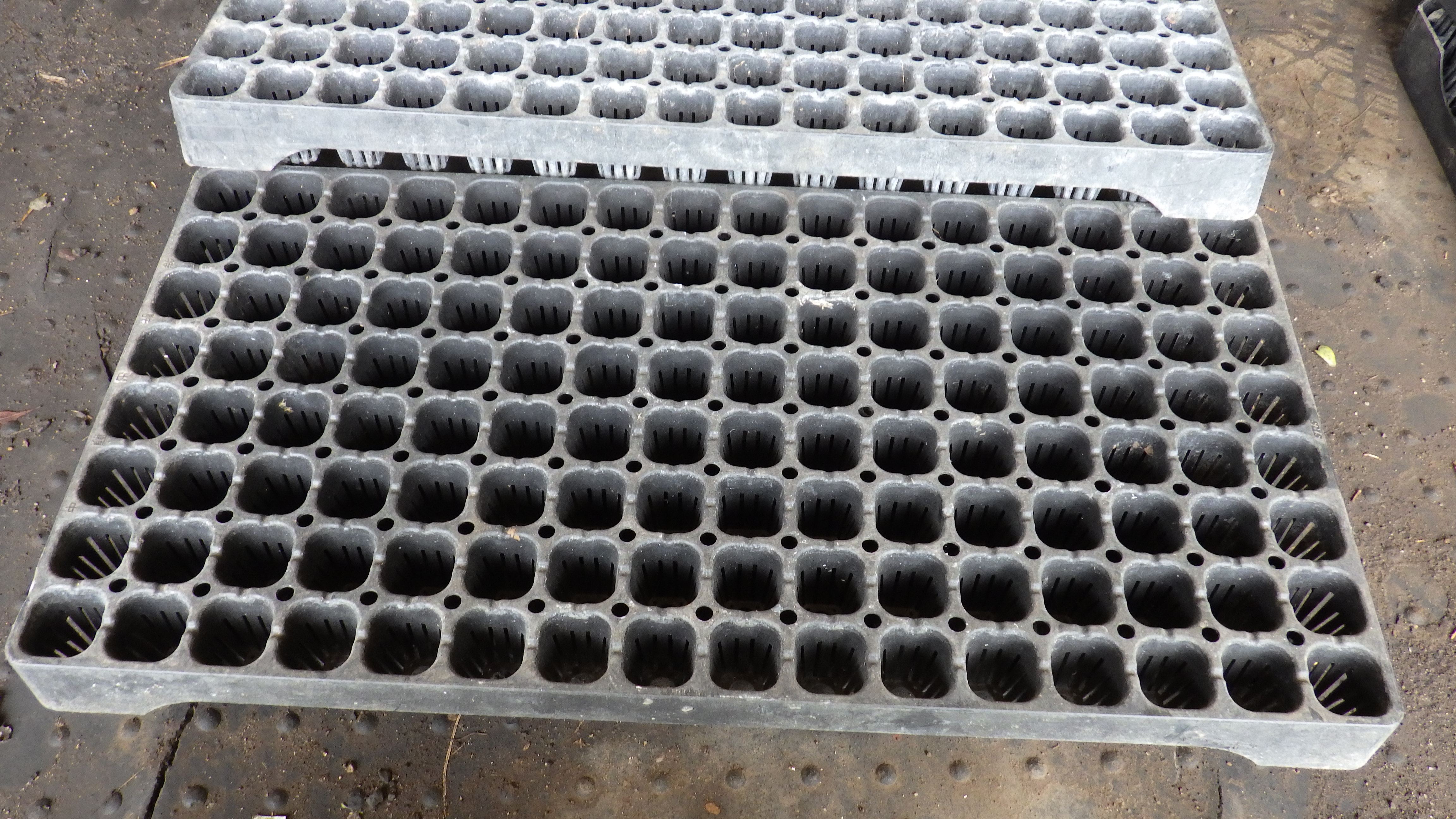 育苗トレーサムネイル