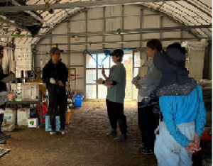 ワークショップの様子