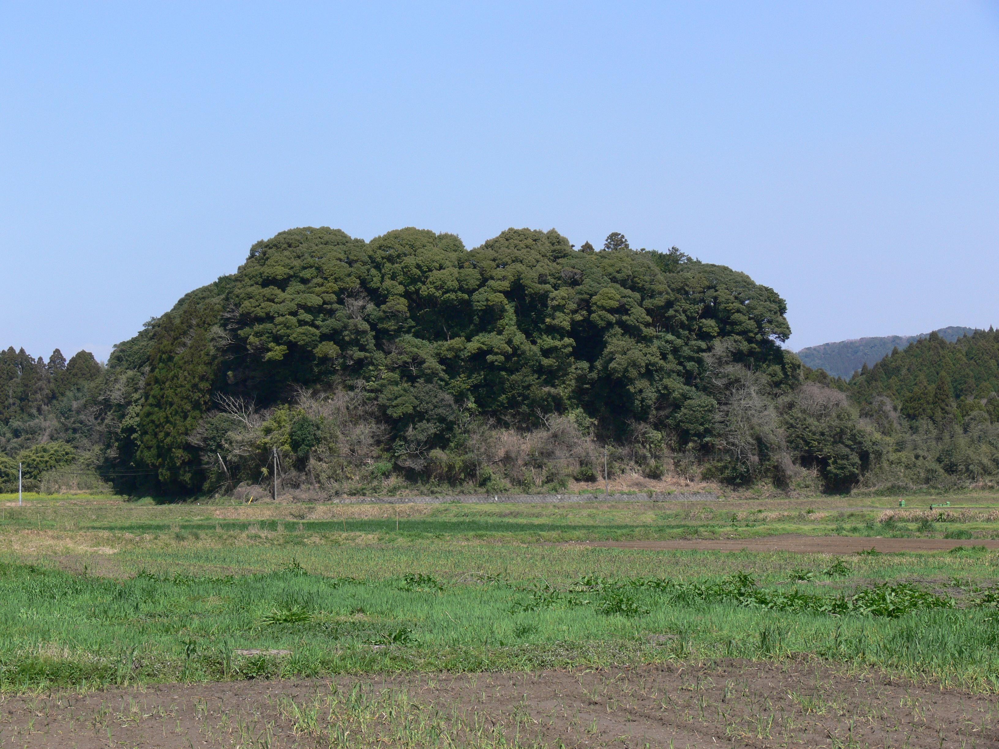 蓬原城跡