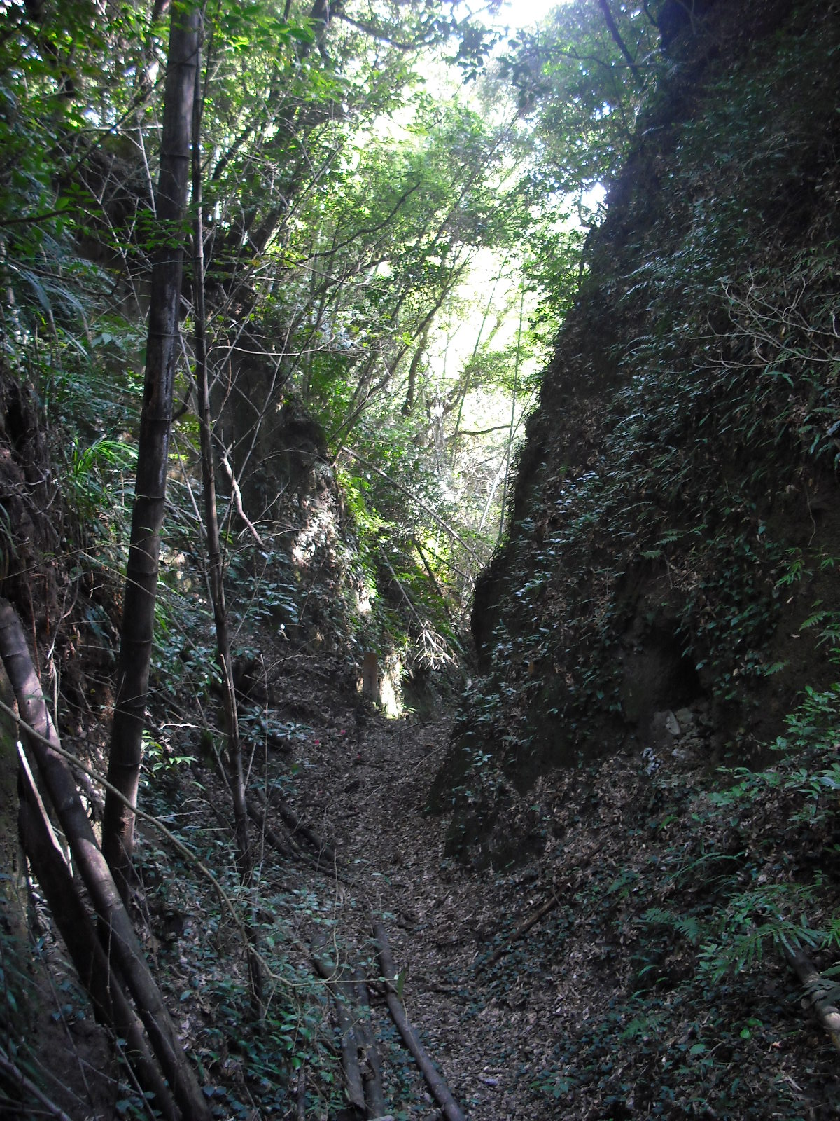 内城搦手口(からめてぐち)の画像