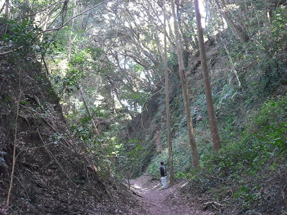 内城大空堀の画像