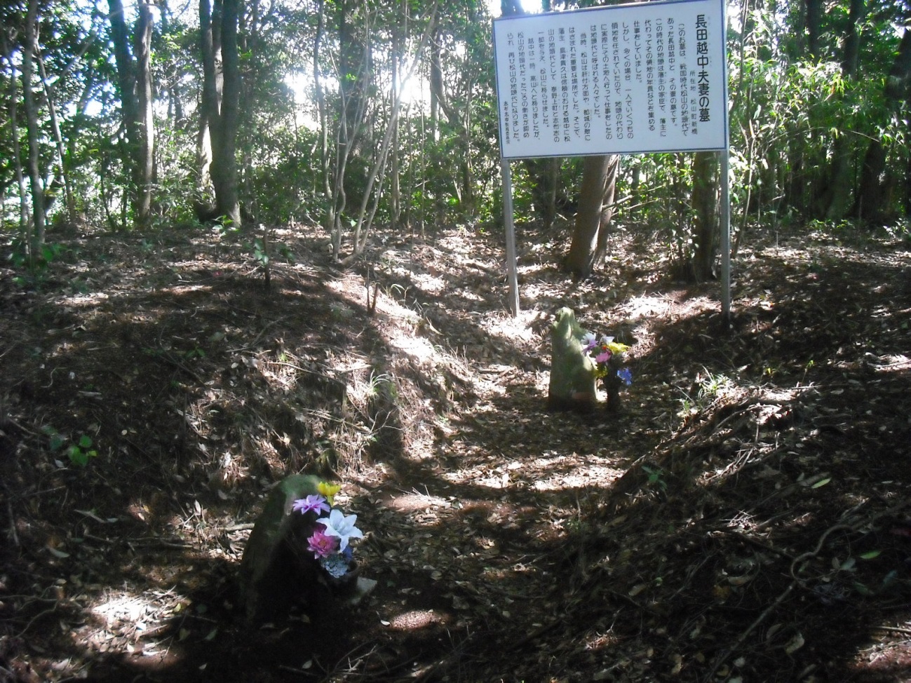 長田越中夫妻の墓