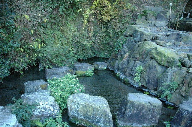 普現堂湧水源の画像2