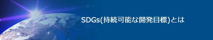 SDGs（持続可能な開発目標）とは