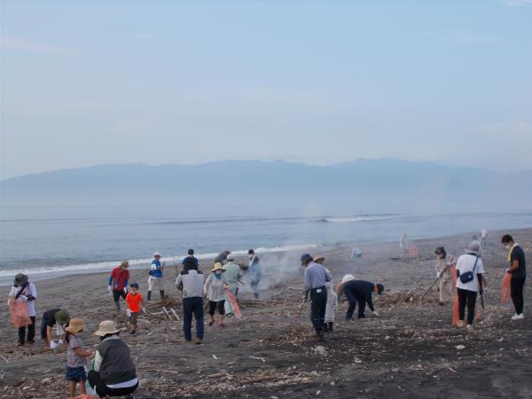 海岸清掃の様子