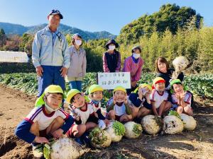 みどり保育園収穫体験の様子の画像