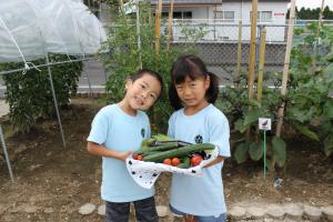園児が野菜を収穫している画像
