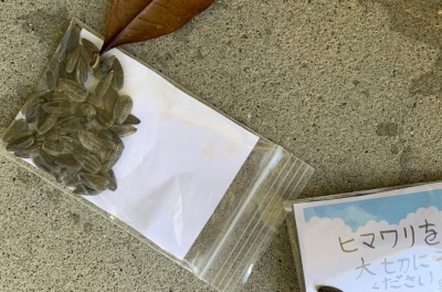 ひまわりの種配布用2