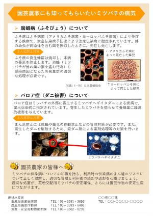 伝染病まん延防止チラシ