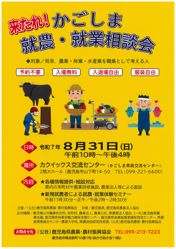 チラシ