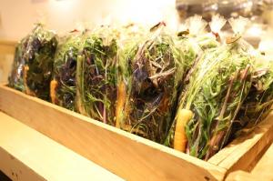 1月活動の様子 収穫した野菜
